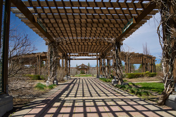 The wooden canopy made of beams - pergola in the patio of the public park in Richmond Hill, Ontario, Canada. - obrazy, fototapety, plakaty