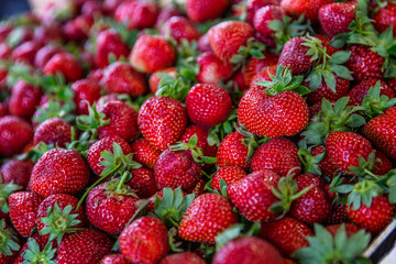 Ripe strawberries in the market. Healthy nutrition and vitamins. A lot of bright fragrant berries. Close-up.
