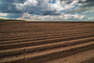 Polny krajobraz 2 © Sławomir Bodnar