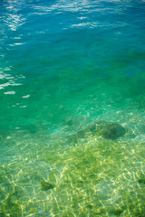 Fototapeta na wymiar Sea water Dobrota Montenegro trip travel summer spring nature journey