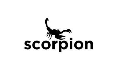 Fototapeta na wymiar scorpion