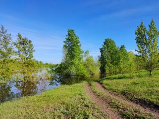 Obraz premium road to a flooded riverbank with trees in the water against a wonderful blue sky with clouds on a sunny day