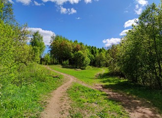 Fototapeta na wymiar fork of paths near green trees on a sunny day against a blue sky with clouds