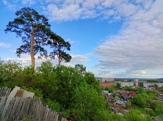 view from the top of the hill to a tall tree and a small town against a beautiful blue sky with clouds