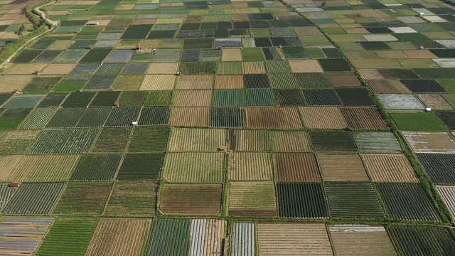 Farming Agriculture Land Patterns in Lambok, Indonesia, Aerial Drone