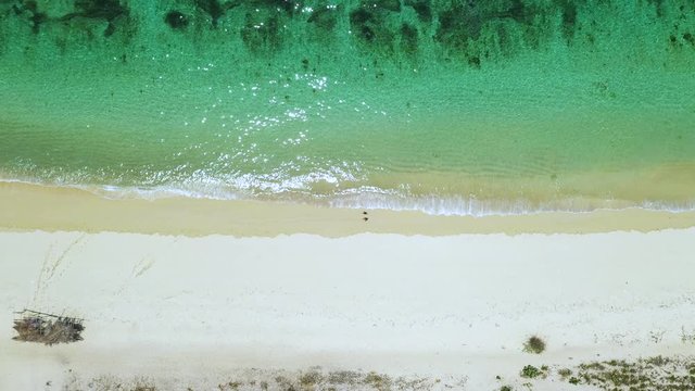Person Walking on White Sand Beach in Tropical Paradise, Top Down Aerial Drone