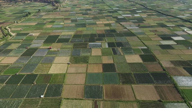 Farming Land Grids in Agricultural Community of Lambok, Indonesia - Aerial Drone
