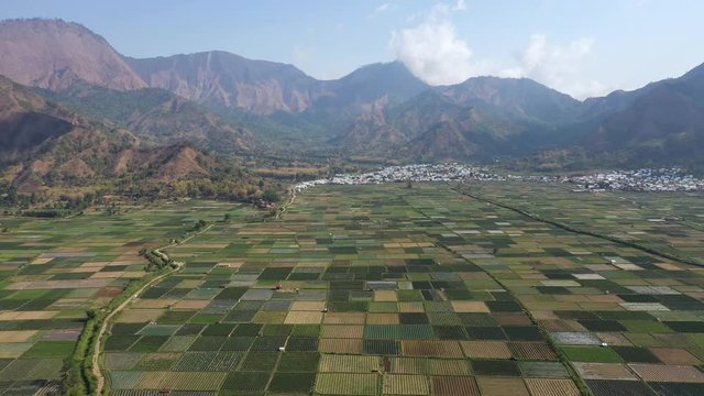 Agriculture Farming Landscape of Lambok, Indonesia - Aerial Drone