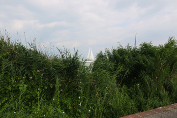 Sailing in the water - Hungary, Balaton