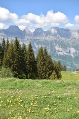 Naturlandschaft in Flumserberg in der Schweiz 17.5.2020