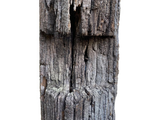 old log wood texture isolated on white with path