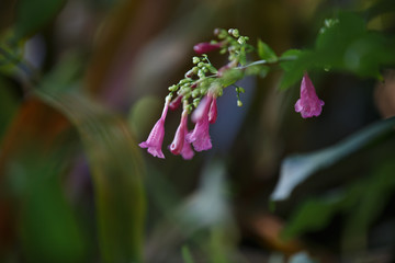 Hells' Bells