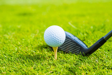 golf ball ang club on golf green grass natural fairway