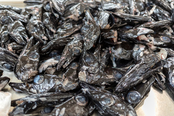 Fish on market, black scabbard (espada) in fish market