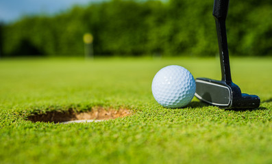 golf ball ang club on golf green grass natural fairway