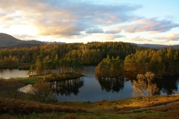 autumn landscape with lake