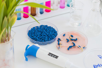Herbicide-treated suflower seeds in a Petri dish and sprouted seeds on a table with a dispenser and test tubes
