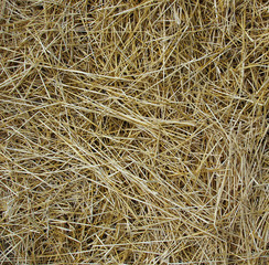 Straw on the field