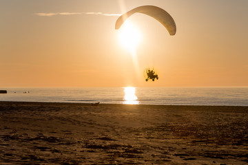 paraglider