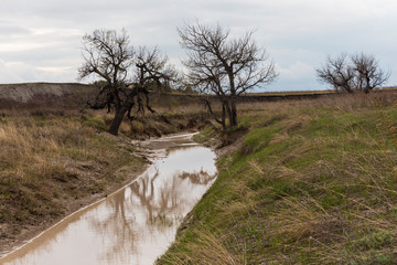 Landscape view of Badlands National Park near Sage Creek (South Dakota).