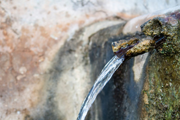 Grifo, agua natural.