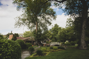 Obraz premium Nature Photography