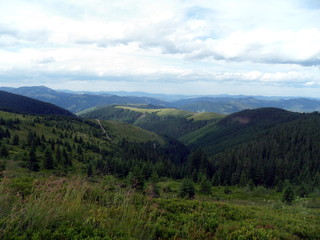 Beautiful summer travel in the mountains