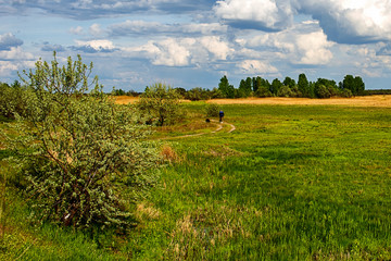 Wide green meadow with bright blue sky, beautiful cumulus clouds, summer background