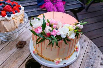 Fototapeta na wymiar birthday cake against green gras with candle 18