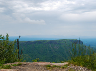 landscape with trees and clouds