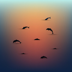 Dolphins over the water at sunset, seascape. Minimalistic scenery. Vector.