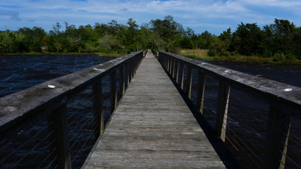 Pathway to the marsh