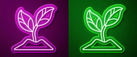 Fototapeta premium Glowing neon line Plant icon isolated on purple and green background. Seed and seedling. Leaves sign. Leaf nature. Vector