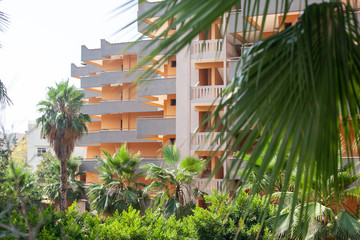 Fototapeta na wymiar multi-storey house among palm trees, relaxation and silence