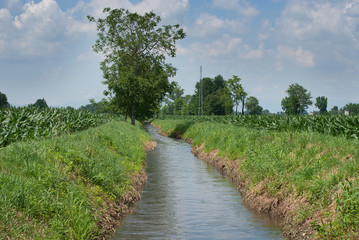 Fototapeta na wymiar canale per irrigazione agricola in campagna