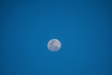 Luna creciente en cielo azul