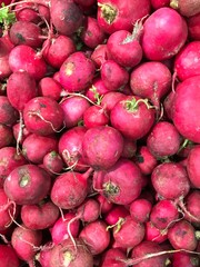 fresh radishes at the market