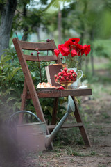 poppies and strawberrie on a vintage wooden chair in the garden