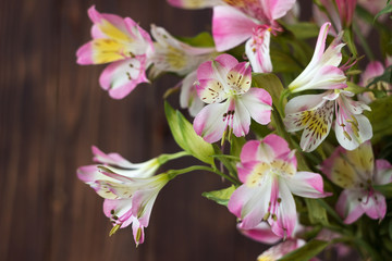 Bouquet from Alstremeria, gently pink flowers of Peruvian lily. Flowers for the holiday, brown wooden background