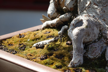 Naklejka premium Close up macro shots of the base / bark / soil / moss of the small tree with fine details and factures / textures