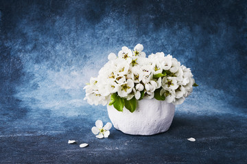 Blooming pear branch in white vase on blue background. Copy space
