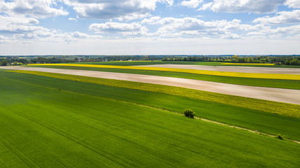 farmlands in the afternoon light from a drone © Krzysztof
