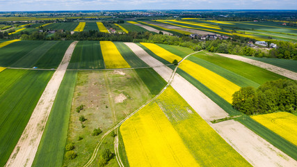 farmlands in the afternoon light from a drone © Krzysztof