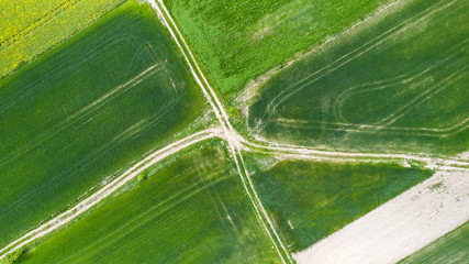 Fields top-down view from the drone