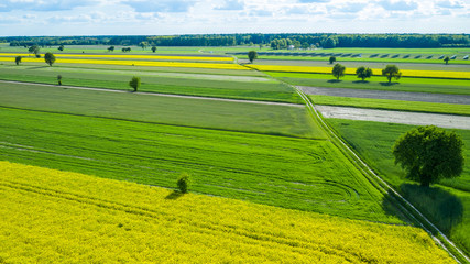 farmlands in the afternoon light from a drone © Krzysztof