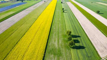 farmlands in the afternoon light from a drone