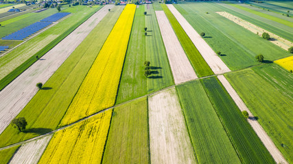 farmlands in the afternoon light from a drone © Krzysztof