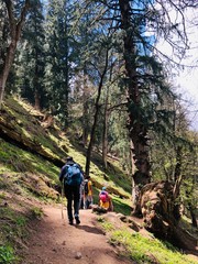 Obraz premium hiking in the woods