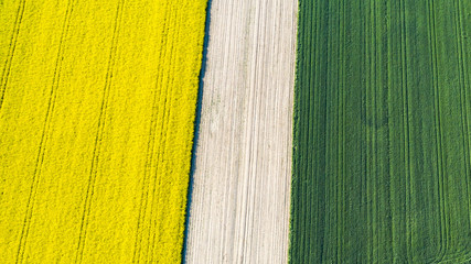farmlands in the afternoon light from a drone © Krzysztof