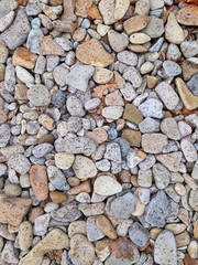 The texture in the form of stones, pebbles. In the botanical garden. Photo background